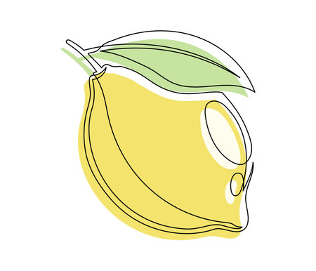 Yellow lemon with leaf isolated on white background. Simple citrus silhouette. Hand drawn lemon outline. Vector illustrationのイラスト素材