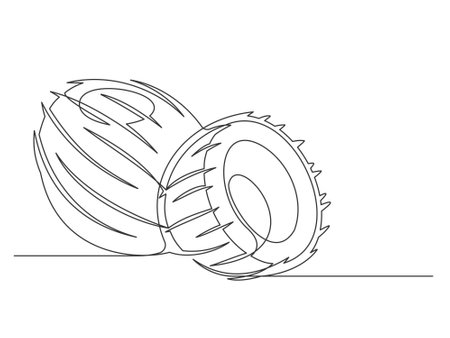 Continuous one line coconuts isolated on white background. Simple plant silhouette. Hand drawn coconuts outline. Editable stroke. Vector illustrationのイラスト素材