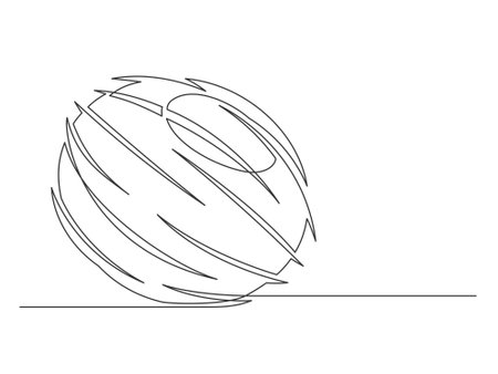 Continuous one line coconut isolated on white background. Simple plant silhouette. Hand drawn coconut outline. Editable stroke. Vector illustrationのイラスト素材