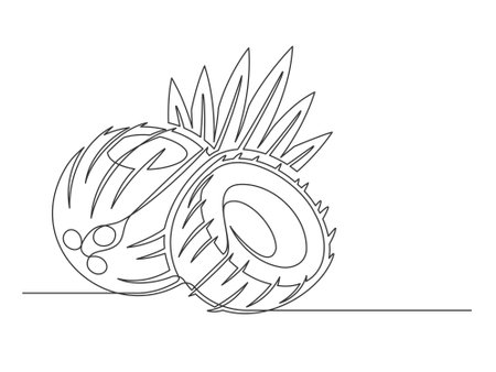 Continuous one line coconuts with palm leaves isolated on white background. Simple plant silhouette. Hand drawn coconuts outline. Editable stroke. Vector illustrationのイラスト素材