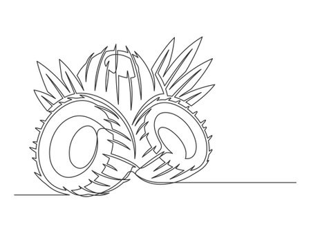 Continuous one line coconuts with palm leaves isolated on white background. Simple plant silhouette. Hand drawn coconuts outline. Editable stroke. Vector illustrationのイラスト素材