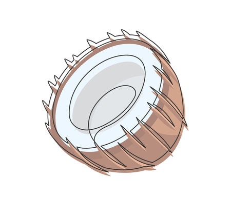 Half brown coconut line art isolated on white background. Simple vegetable silhouette. Hand drawn coconut outline. Editable stroke. Vector illustrationのイラスト素材