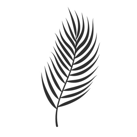 Palm leaf isolated on white background. Black palm leaf silhouette. Tropical tree. Coconut plant. Vector illustrationのイラスト素材