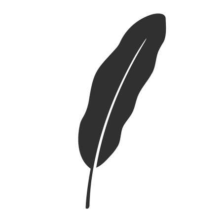 Banana leaf isolated on white background. Black banana leaf silhouette. Tropical tree. Vector illustrationのイラスト素材