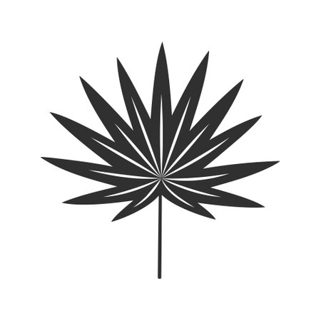Tropical leaf isolated on white background. Black palm leaf silhouette. Vector illustrationのイラスト素材