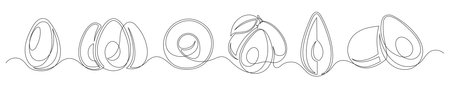Avocado continuous one line drawing set isolated on a white background. Horizontal banner. Outline avocado fruit collections. Vector illustrationのイラスト素材