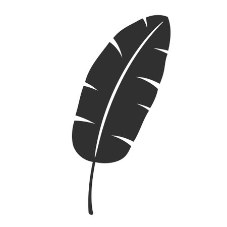 Banana leaf isolated on white background. Black banana leaf silhouette. Tropical tree. Vector illustrationのイラスト素材