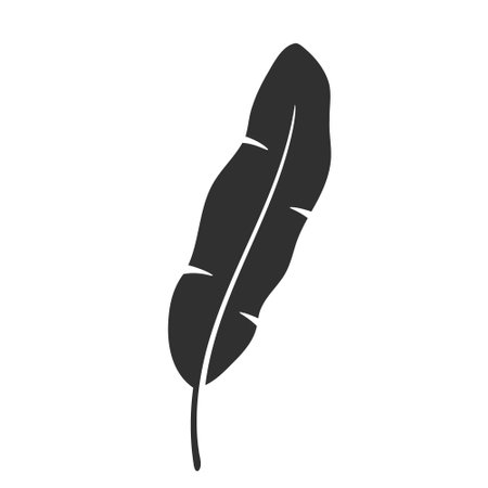 Banana leaf isolated on white background. Black banana leaf silhouette. Tropical tree. Vector illustrationのイラスト素材