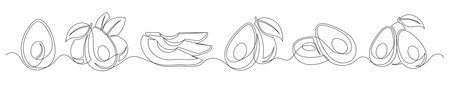 Avocado continuous one line drawing set isolated on a white background. Horizontal banner. Outline avocado fruit collections. Vector illustrationのイラスト素材
