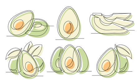 Avocado green continuous one line drawing set isolated on a white background. Outline avocado fruit icon collections. Vector illustrationのイラスト素材