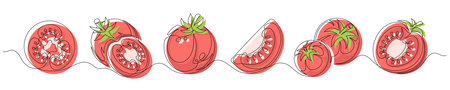 Tomato red continuous one line drawing set isolated on a white background. Horizontal banner. Outline tomato vegetable collections. Editable stroke. Vector illustrationのイラスト素材