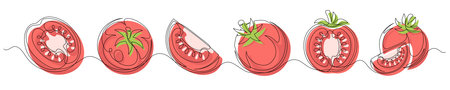 Tomato red continuous one line drawing set isolated on a white background. Editable stroke. Outline tomato vegetable collections. Horizontal banner. Vector illustrationのイラスト素材