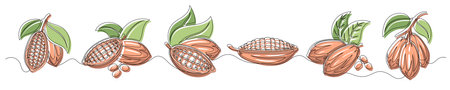 Cacao bean pod brown continuous one line drawing set isolated on a white background. Horizontal banner. Outline cocoa bean plant collections. Editable stroke. Vector illustrationのイラスト素材