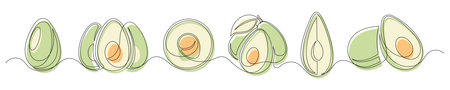 Avocado green continuous one line drawing set isolated on a white background. Horizontal banner. Outline avocado fruit collections. Vector illustrationのイラスト素材
