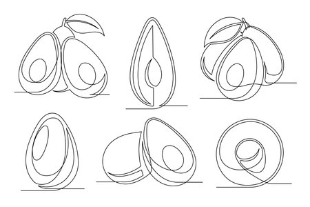 Avocado continuous one line drawing set isolated on a white background. Outline avocado fruit icon collections. Vector illustrationのイラスト素材
