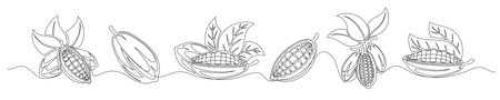 Cacao bean pod continuous one line drawing set isolated on a white background. Horizontal banner. Outline cocoa bean plant collections. Editable stroke. Vector illustrationのイラスト素材