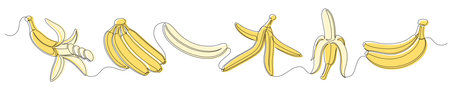 Bananas yellow continuous one line drawing set isolated on a white background. Editable stroke. Outline banana fruit collections. Horizontal banner. Vector illustrationのイラスト素材