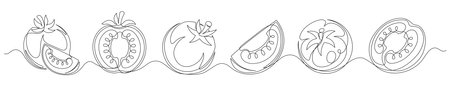 Tomato continuous one line drawing set isolated on a white background. Editable stroke. Outline tomato vegetable collections. Horizontal banner. Vector illustrationのイラスト素材