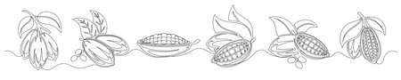 Cacao bean pod continuous one line drawing set isolated on a white background. Horizontal banner. Outline cocoa bean plant collections. Editable stroke. Vector illustrationのイラスト素材