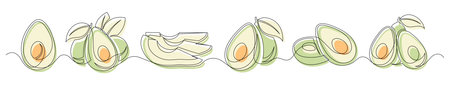 Avocado green continuous one line drawing set isolated on a white background. Horizontal banner. Outline avocado fruit collections. Vector illustrationのイラスト素材