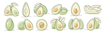 Avocado green continuous one line drawing set isolated on a white background. Outline avocado fruit icon collections. Vector illustrationのイラスト素材