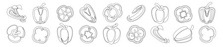 Bell pepper continuous one line drawing icon set. Outline peppers vegetable collections isolated on a white background. Vector illustrationのイラスト素材