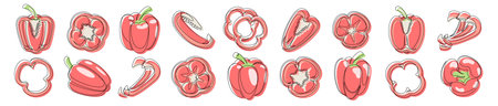 Bell pepper red continuous one line drawing icon set. Outline peppers vegetable collections isolated on a white background. Vector illustrationのイラスト素材