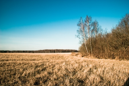 Autumn fieldの写真素材