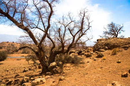 Moroccan desertの写真素材