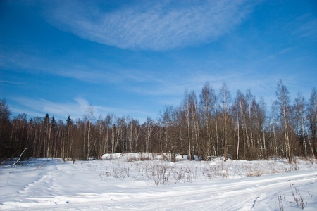 Winter landscapeの写真素材