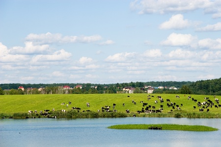 Summer landscapeの写真素材
