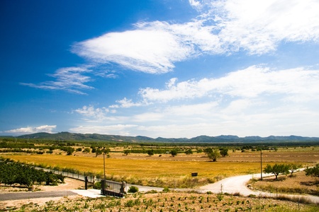 Nature of Spainの写真素材