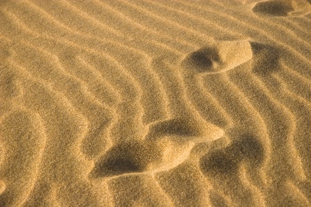 Moroccan Desert