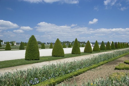 Park of The Palace of Versaillesの写真素材