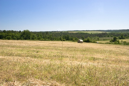Rural landscape