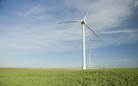 Wind Turbines at the Field