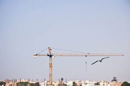 Craneの写真素材