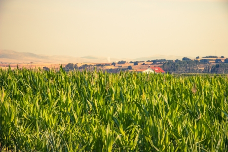 Summer landscape near Kastoriaの写真素材