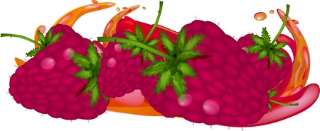 Raspberryのイラスト素材
