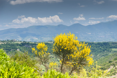 Nature Summer Landscape of Lazio Region, Italyの写真素材