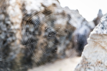 A Big Spiders Web among the rocksの写真素材