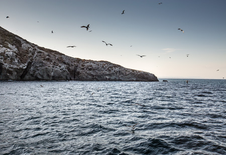 Isla Grosa - Spanish island near La Manga, San Javierの写真素材