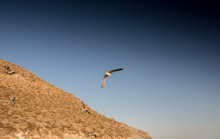 Isla Grosa - Spanish island near La Manga, San Javierの写真素材