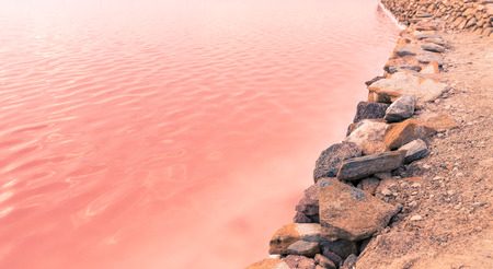 Pink Salt Lake - Salinas de San Pedro del Pinatar, Spain