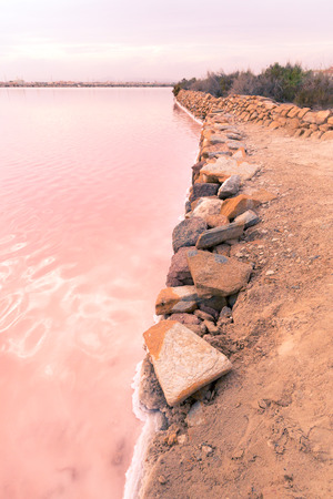 Pink Salt Lake - Salinas de San Pedro del Pinatar, Spainの写真素材