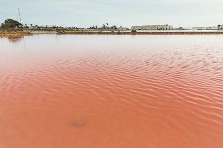 Pink Salt Lake - Salinas de San Pedro del Pinatar, Spainの写真素材