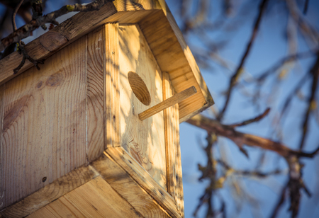 Birdhouse in a tree in winterの写真素材