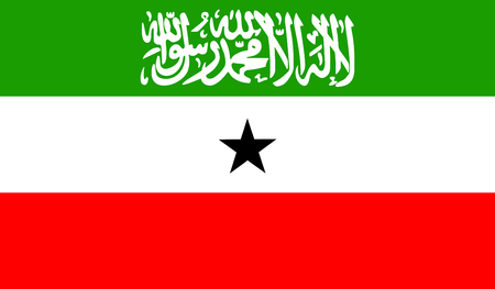 Somaliland Flagのイラスト素材