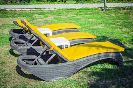 Yellow sun loungers on the lawnの写真素材