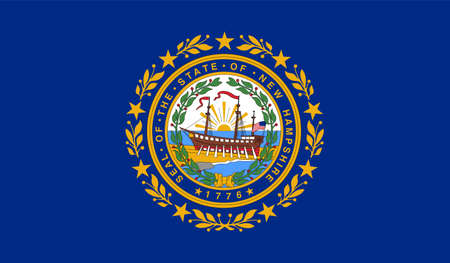 New Hampshire US State Vector Illustrationのイラスト素材